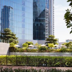 Отель The Oberoi фото 4