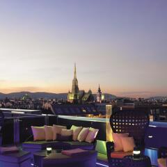 Отель The Ritz Carlton Vienna Вена питание