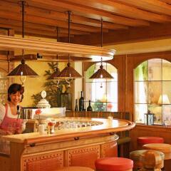 Hotel Pension Sonnleiten гостиничный бар