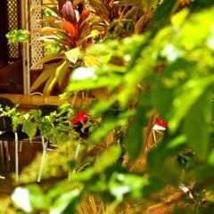 Отель Te Ora Hau Ecolodge Французская Полинезия, Папеэте - отзывы, цены и фото номеров - забронировать отель Te Ora Hau Ecolodge онлайн фото 15