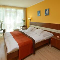 Holiday Beach Budapest Wellness & Conference Hotel комната для гостей фото 2