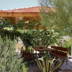 Отель Petra Bed & Breakfast Иордания, Вади-Муса - отзывы, цены и фото номеров - забронировать отель Petra Bed & Breakfast онлайн фото 2