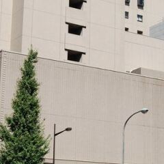 Отель Courtyard by Marriott Tokyo Ginza Япония, Токио - отзывы, цены и фото номеров - забронировать отель Courtyard by Marriott Tokyo Ginza онлайн фото 13
