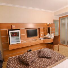 Ankara Plaza Hotel Турция, Анкара - отзывы, цены и фото номеров - забронировать отель Ankara Plaza Hotel онлайн фото 8