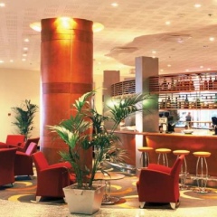 Отель Radisson Blu Sky фото 6