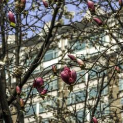 Radisson Blu Plaza Xing Guo Hotel развлечения