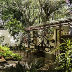 Отель Chalet del Carmen Coyoacán Мексика, Мехико - отзывы, цены и фото номеров - забронировать отель Chalet del Carmen Coyoacán онлайн фото 9
