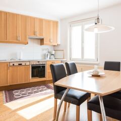Отель Duschel Apartments Vienna Австрия, Вена - отзывы, цены и фото номеров - забронировать отель Duschel Apartments Vienna онлайн фото 12