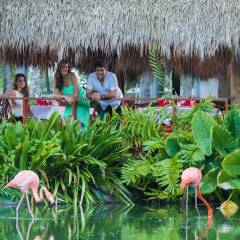 Отель Natura Park Beach & Spa Eco Resort Доминикана, Пунта Кана - отзывы, цены и фото номеров - забронировать отель Natura Park Beach & Spa Eco Resort онлайн фитнесс-зал фото 2