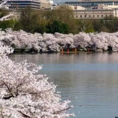 Отель Fairfield Inn & Suites by Marriott Washington, DC/Downtown США, Вашингтон - отзывы, цены и фото номеров - забронировать отель Fairfield Inn & Suites by Marriott Washington, DC/Downtown онлайн пляж