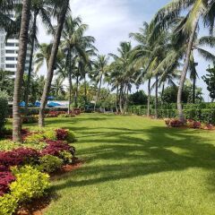 Отель Holiday Inn Miami Beach-Oceanfront фото 5