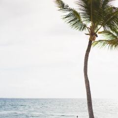 Отель Natura Park Beach & Spa Eco Resort Доминикана, Пунта Кана - отзывы, цены и фото номеров - забронировать отель Natura Park Beach & Spa Eco Resort онлайн фитнесс-зал фото 3