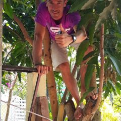 Отель Mango Garden Hoi An Homestay фото 10