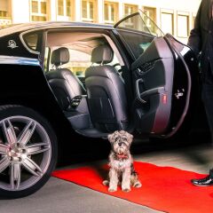 Отель Park Hyatt Zurich городской автобус