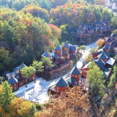 Отель KOREA QUALITY Elf Spa Resort Hotel Южная Корея, Пхёнчан - отзывы, цены и фото номеров - забронировать отель KOREA QUALITY Elf Spa Resort Hotel онлайн фото 6