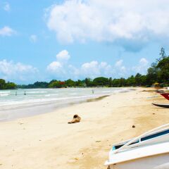 Отель Surasa Beach Resort пляж фото 2