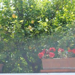 Отель B&B AnnaVì Бари фото 9