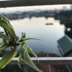 Отель The Autumn Homestay бассейн фото 2