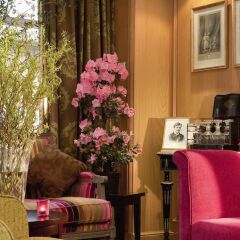Hotel Cordelia гостиничный бар
