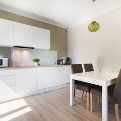 Апартаменты Liza Lux Apartments Old Town в номере фото 2