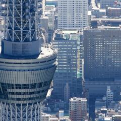 Отель Tobu Hotel Levant Tokyo Япония, Токио - 1 отзыв об отеле, цены и фото номеров - забронировать отель Tobu Hotel Levant Tokyo онлайн детские мероприятия