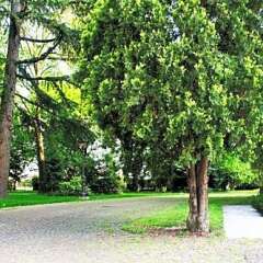 Отель Park Villa Giustinian Мирано фото 5