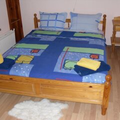 Отель Veselata Guest House Болгария, Боровец - отзывы, цены и фото номеров - забронировать отель Veselata Guest House онлайн фото 12