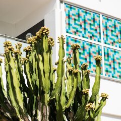 Отель Axelbeach Maspalomas Плайя дель Инглес фото 11