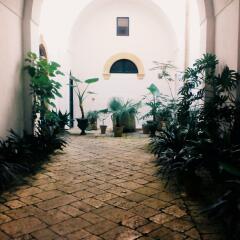Отель B&B A Palazzo Гальяно дель Капо фото 8