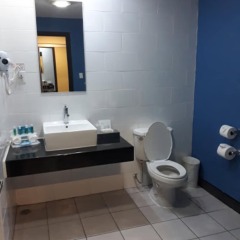 Отель Holiday Inn Express San Pedro Sula Гондурас, Сан-Педро-Сула - отзывы, цены и фото номеров - забронировать отель Holiday Inn Express San Pedro Sula онлайн ванная
