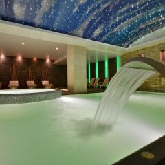 Marigold Thermal Spa Hotel Турция, Бурса - отзывы, цены и фото номеров - забронировать отель Marigold Thermal Spa Hotel онлайн с домашними животными