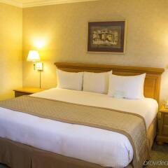 Hotel Lucerna Tijuana комната для гостей фото 3