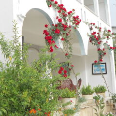 Отель Garden Prizma Pension