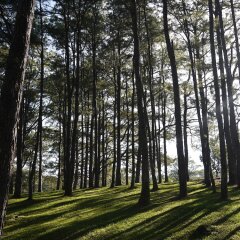 Отель Azalea Residences Baguio Филиппины, Багуйо - отзывы, цены и фото номеров - забронировать отель Azalea Residences Baguio онлайн спортивное сооружение