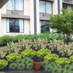 Отель Crowne Plaza Cleveland South-Independence фото 11