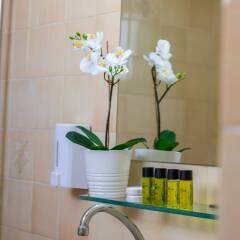 Costantiana Beach Hotel Apartments ванная фото 2