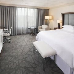 Отель Sheraton Bloomington Hotel США, Блумингтон - отзывы, цены и фото номеров - забронировать отель Sheraton Bloomington Hotel онлайн комната для гостей фото 5