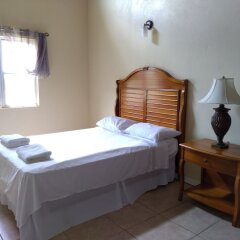 Mill House Guesthouse in Nevis, St. Kitts and Nevis from 157$, photos, reviews - zenhotels.com guestroom photo 2