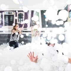 Hub New Lisbon Hostel с домашними животными
