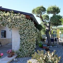 Отель B&B Delle Rondini Альберобелло фото 13