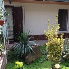 Гостиница Guest House on Gorkogo street 51 в Анапе отзывы, цены и фото номеров - забронировать гостиницу Guest House on Gorkogo street 51 онлайн Анапа фото 5