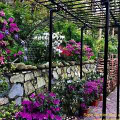 Отель Sapa Garden Bed and Breakfast Вьетнам, Шапа - отзывы, цены и фото номеров - забронировать отель Sapa Garden Bed and Breakfast онлайн фото 18