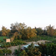Отель White Lion House