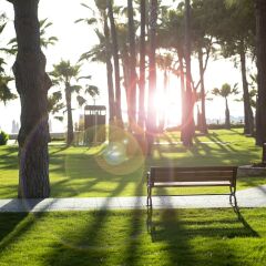 Отель Barut Acanthus & Cennet - All Inclusive фото 13