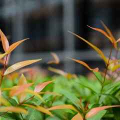 Отель Grass Serviced Suites Паттайя фото 7