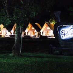 Отель Avasta Resort & Spa развлечения