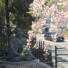 Kobe Sannomiya Union Hotel Кобе фото 4
