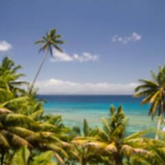 Отель Taveuni Palms Фиджи, Остров Тавеуни - отзывы, цены и фото номеров - забронировать отель Taveuni Palms онлайн пляж фото 2