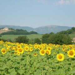 Hotel Ristorante La Fattoria Сполето