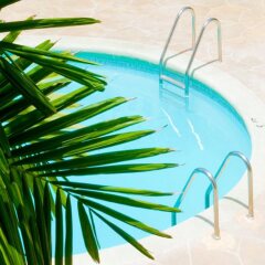 Golden Sands Hotel с домашними животными